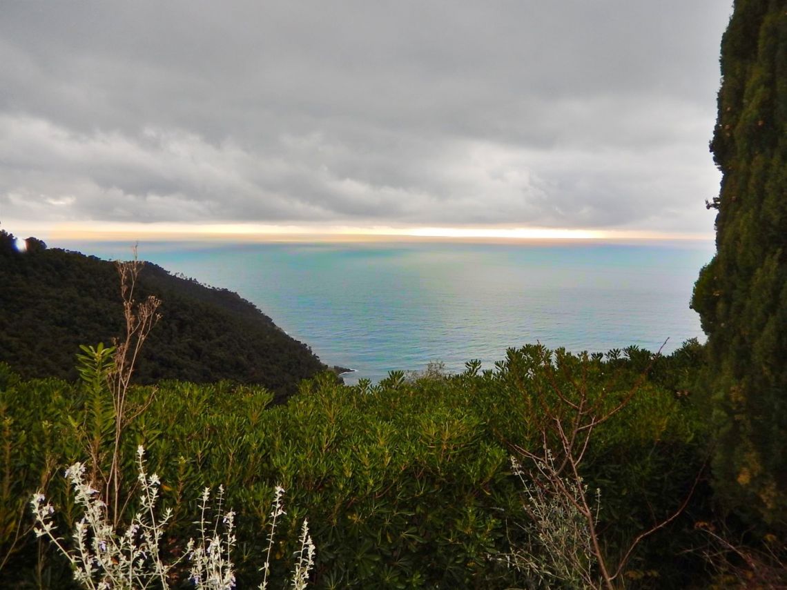733 | Bonassola - Ville - Cinque Terre