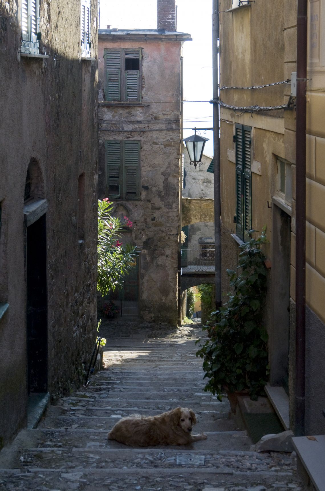 767 | Castiglione Chiavarese - Ville - Tigullio