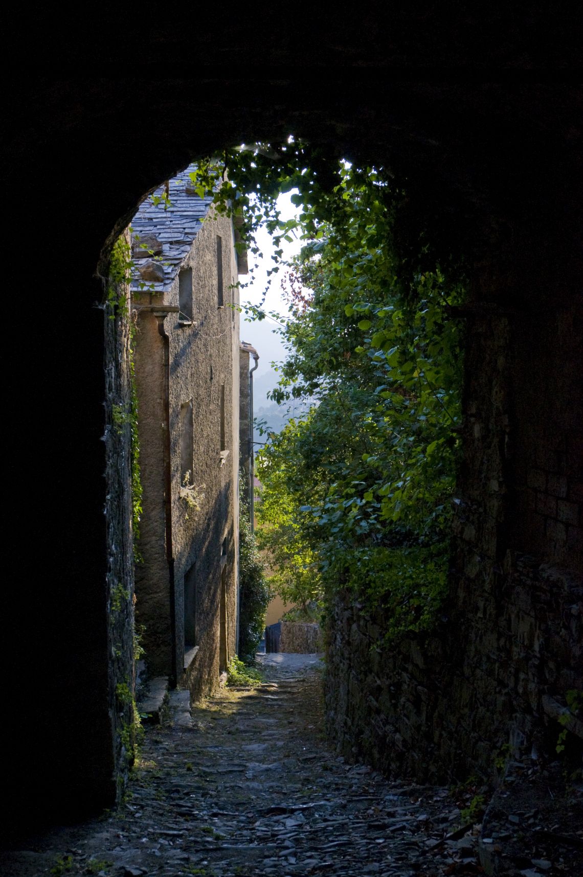 767 | Castiglione Chiavarese - Ville - Tigullio