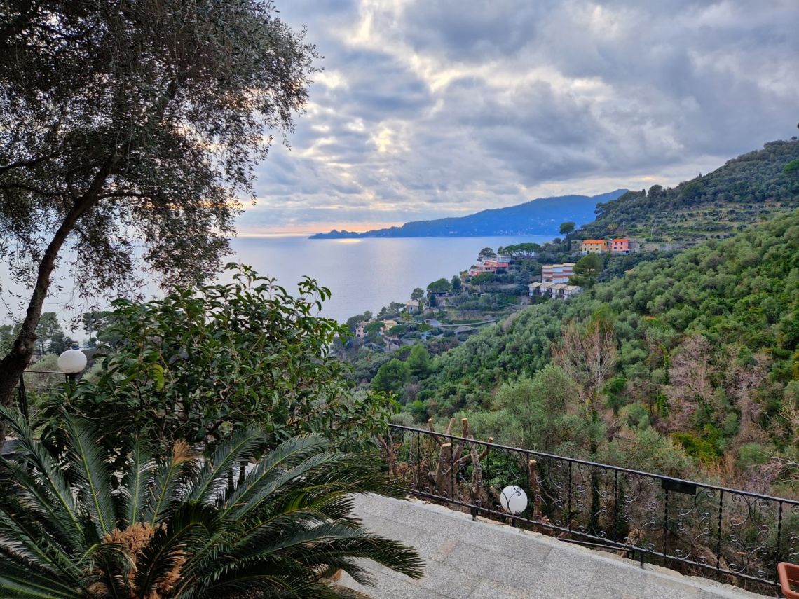 702 | Chiavari - Ville - Tigullio